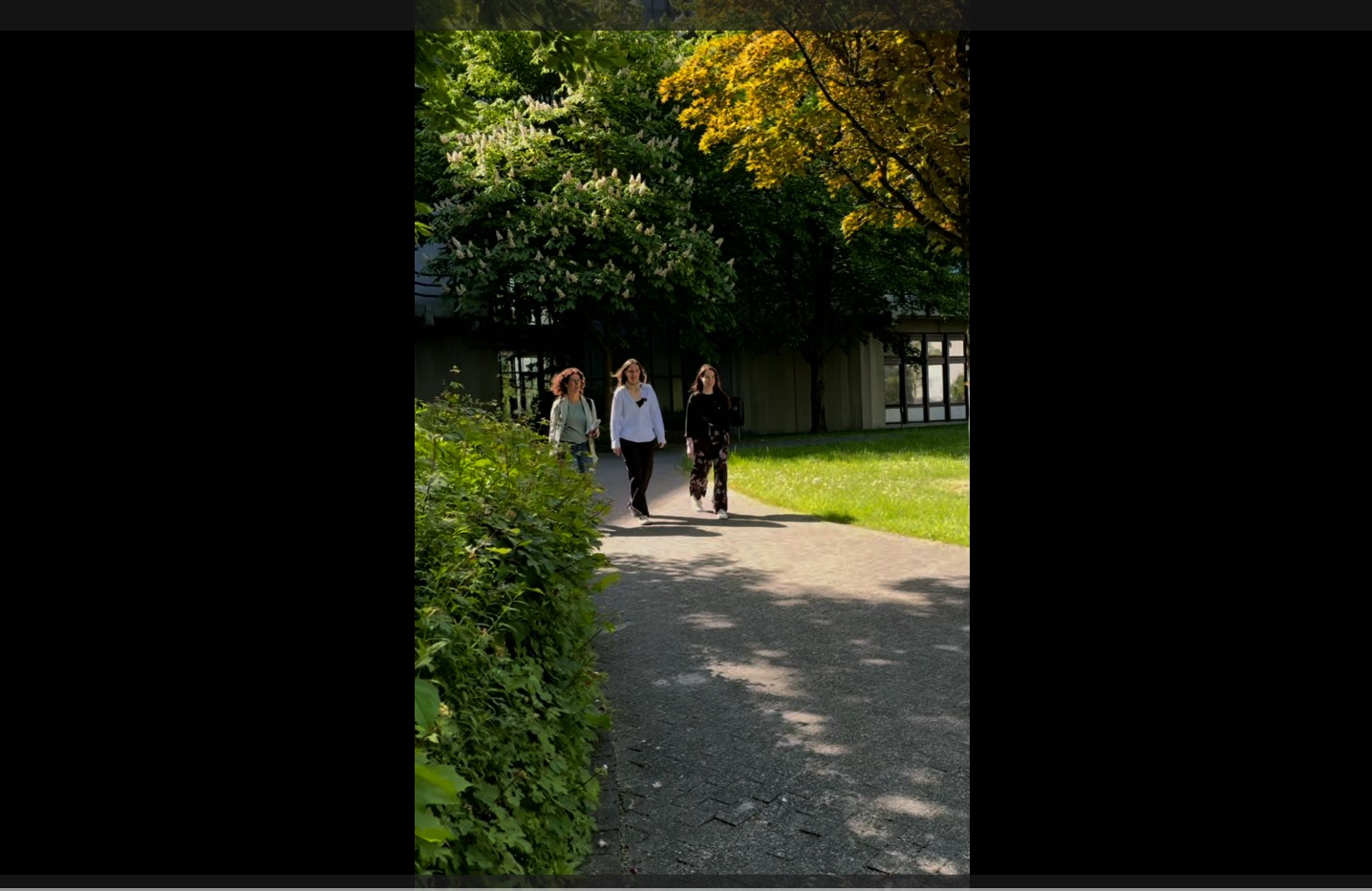 thumbnail of medium /cache/c4dd307fc1393b1567aeb13a01311a9f.png